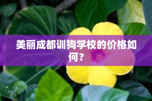 美丽成都训狗学校的价格如何？