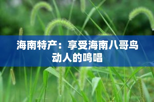 海南特产：享受海南八哥鸟动人的鸣唱