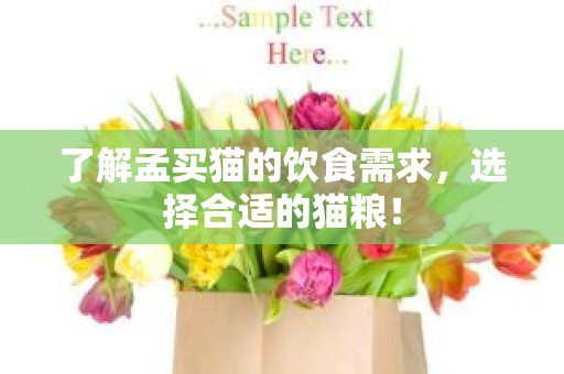 了解孟买猫的饮食需求，选择合适的猫粮！