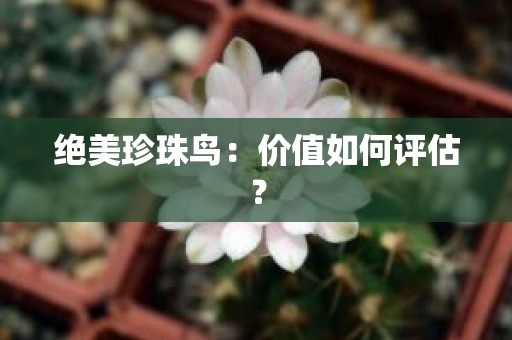绝美珍珠鸟：价值如何评估？