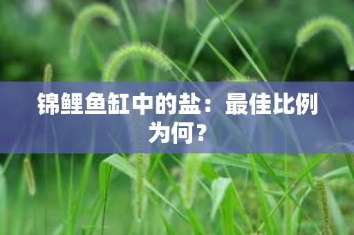 锦鲤鱼缸中的盐：最佳比例为何？
