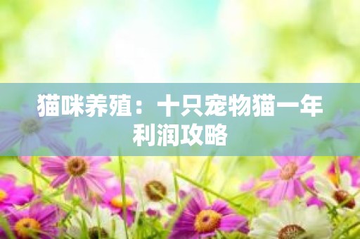猫咪养殖：十只宠物猫一年利润攻略