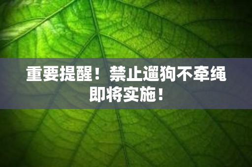 重要提醒！禁止遛狗不牵绳即将实施！