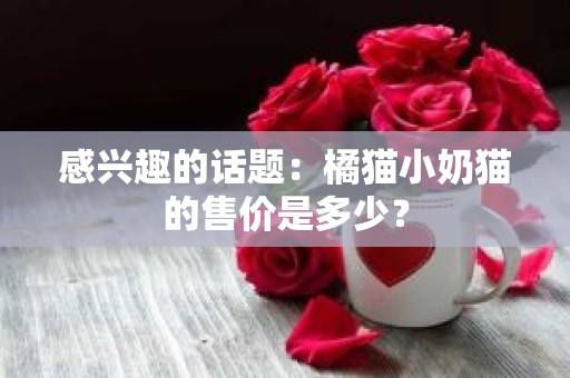 感兴趣的话题：橘猫小奶猫的售价是多少？