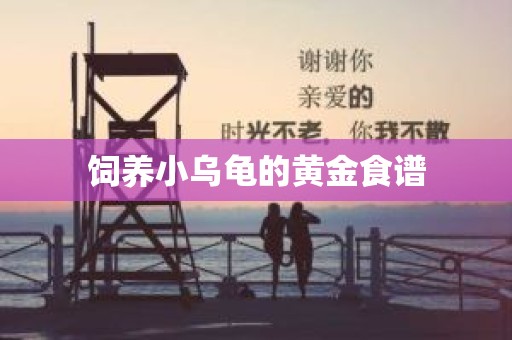 饲养小乌龟的黄金食谱