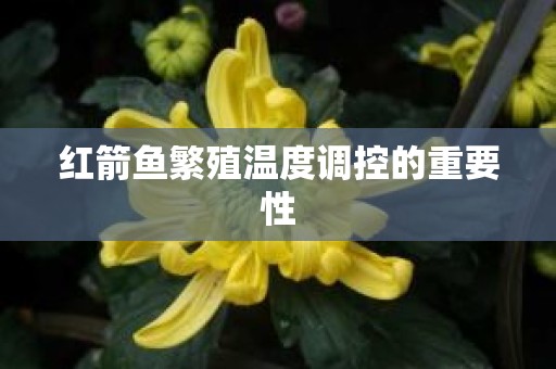 红箭鱼繁殖温度调控的重要性