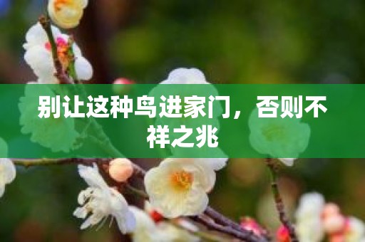 别让这种鸟进家门，否则不祥之兆