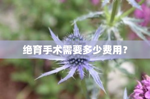 绝育手术需要多少费用？