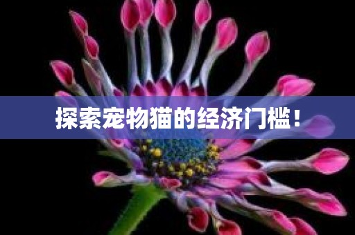 探索宠物猫的经济门槛！