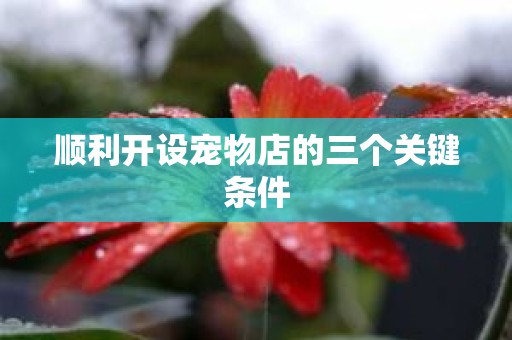 顺利开设宠物店的三个关键条件