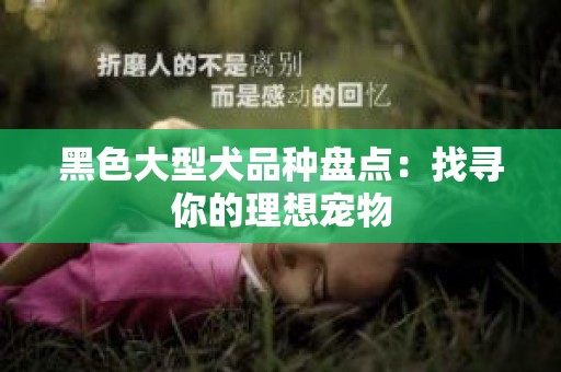 黑色大型犬品种盘点：找寻你的理想宠物