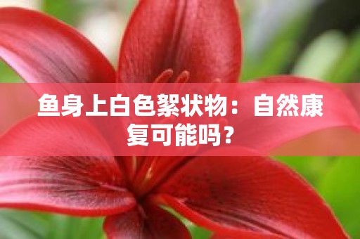 鱼身上白色絮状物：自然康复可能吗？