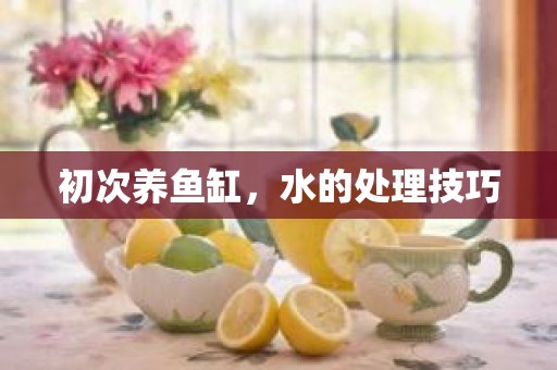 初次养鱼缸，水的处理技巧