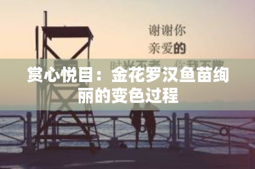 赏心悦目：金花罗汉鱼苗绚丽的变色过程