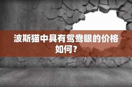 波斯猫中具有鸳鸯眼的价格如何？