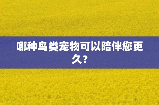 哪种鸟类宠物可以陪伴您更久？