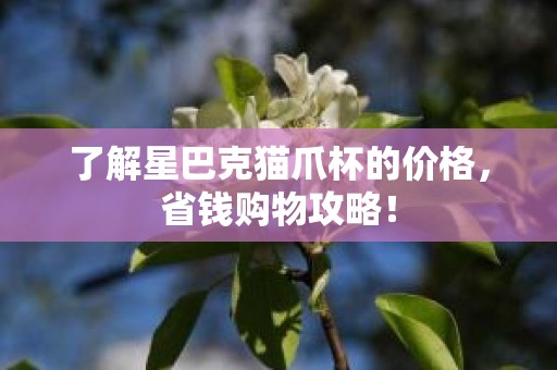 了解星巴克猫爪杯的价格，省钱购物攻略！