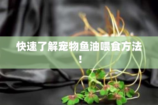 快速了解宠物鱼油喂食方法！