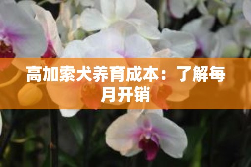 高加索犬养育成本：了解每月开销