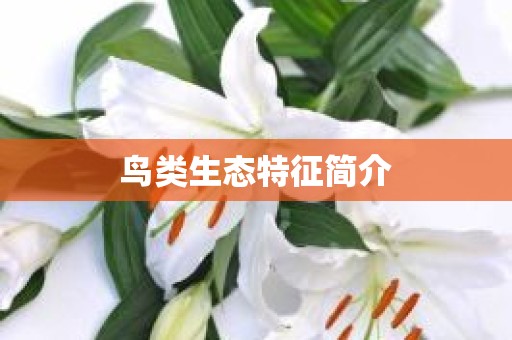 鸟类生态特征简介