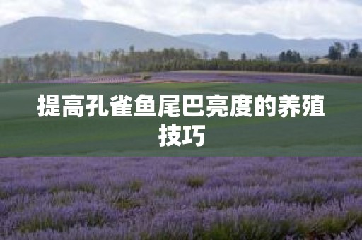 提高孔雀鱼尾巴亮度的养殖技巧