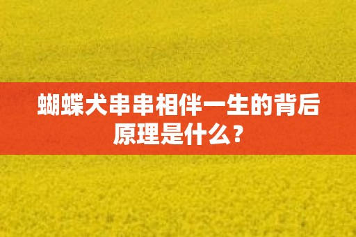 蝴蝶犬串串相伴一生的背后原理是什么？