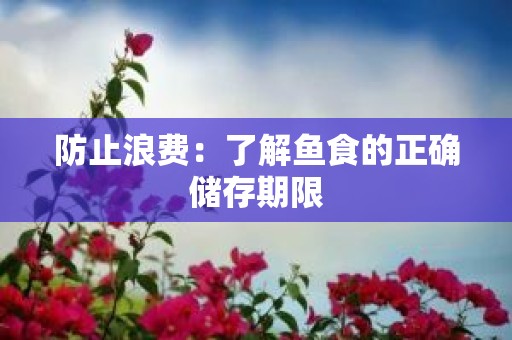 防止浪费：了解鱼食的正确储存期限