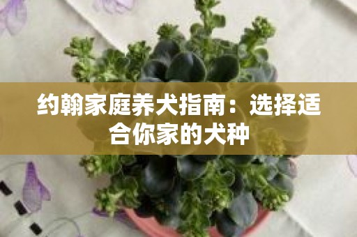 约翰家庭养犬指南：选择适合你家的犬种