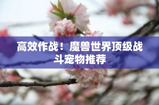 高效作战！魔兽世界顶级战斗宠物推荐