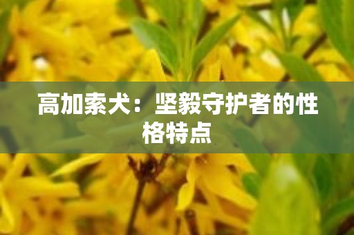 高加索犬：坚毅守护者的性格特点