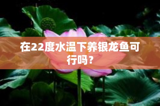 在22度水温下养银龙鱼可行吗？