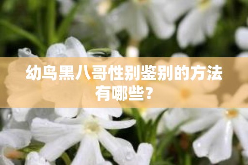 幼鸟黑八哥性别鉴别的方法有哪些？