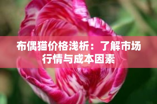 布偶猫价格浅析：了解市场行情与成本因素
