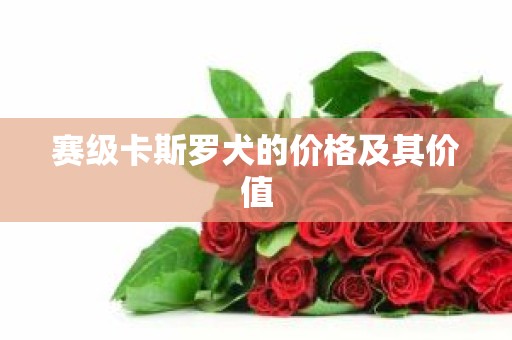 赛级卡斯罗犬的价格及其价值