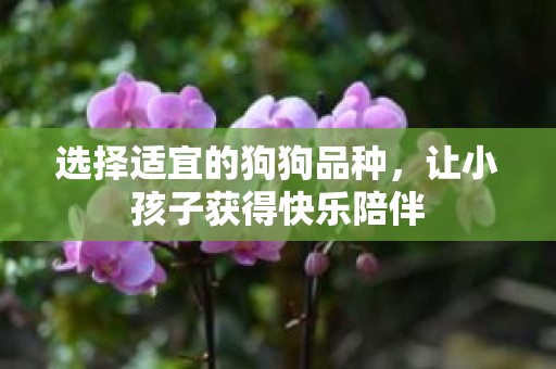 选择适宜的狗狗品种，让小孩子获得快乐陪伴