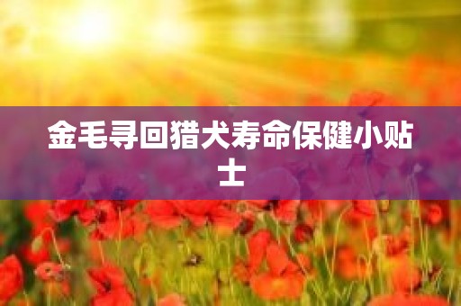 金毛寻回猎犬寿命保健小贴士