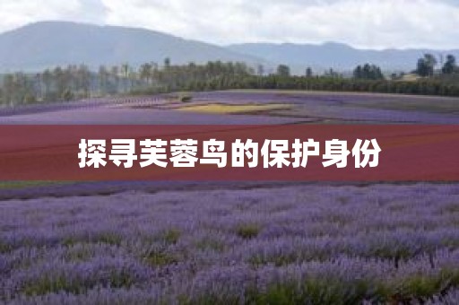 探寻芙蓉鸟的保护身份