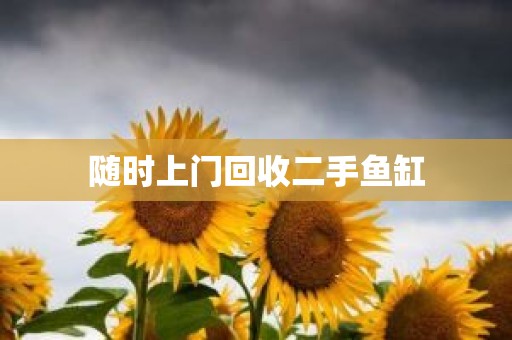 随时上门回收二手鱼缸