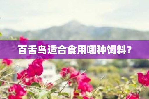 百舌鸟适合食用哪种饲料？