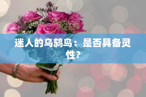 迷人的乌鸫鸟：是否具备灵性？