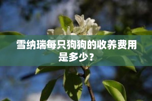 雪纳瑞每只狗狗的收养费用是多少？