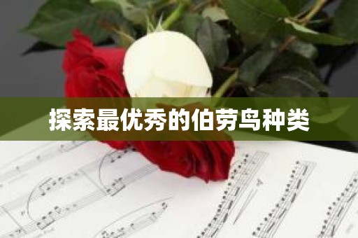探索最优秀的伯劳鸟种类