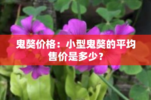 鬼獒价格：小型鬼獒的平均售价是多少？