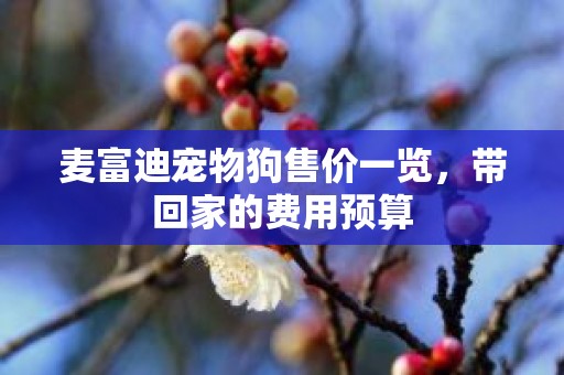 麦富迪宠物狗售价一览，带回家的费用预算