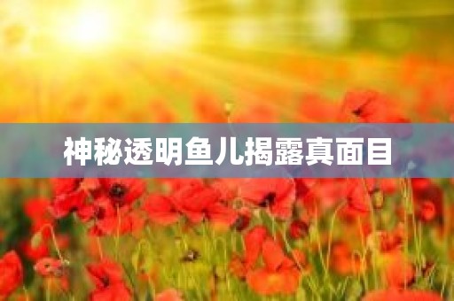 神秘透明鱼儿揭露真面目