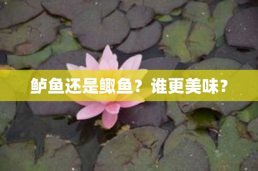 鲈鱼还是鲰鱼？谁更美味？