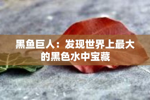 黑鱼巨人：发现世界上最大的黑色水中宝藏