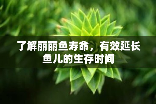 了解丽丽鱼寿命，有效延长鱼儿的生存时间