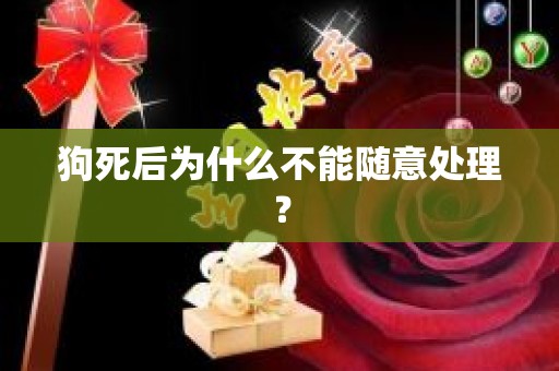 狗死后为什么不能随意处理？