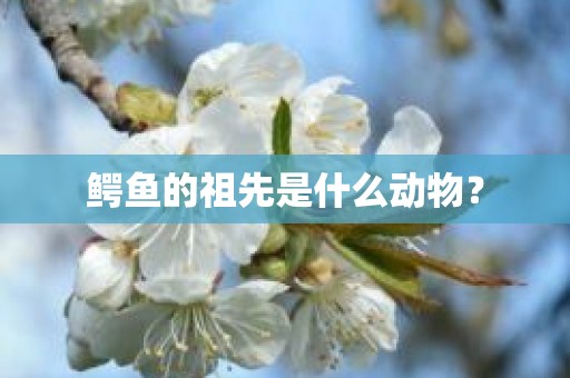 鳄鱼的祖先是什么动物？